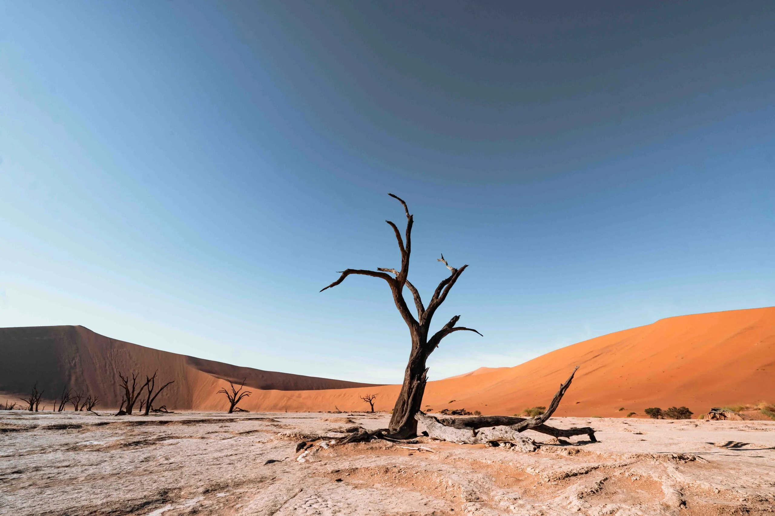 Naukluft In the Namib Naukluft Park is Namibia’s most spectacular scenic red dunes, well-known white salt pan with some of the highest dunes in the world, reaching almost 400 meters and provide wonderful photogenic images in the morning and evening light. These dunes are part of Namibia’s Sand Sea which is UNESCO Heritage site surrounded by Sesriem Canyon, Dune 45, Hiddenvlei, Big Daddy and Deadvlei.